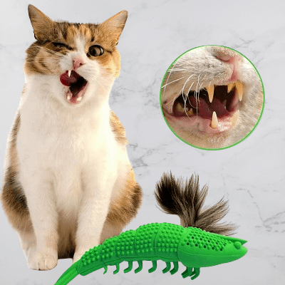 Jouet Interactif Chat - CatnipToys™ - Vert - La Citée Chat