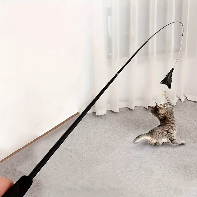 Jouet pour Chat - KittyCatch™ - Noir - La Citée Chat