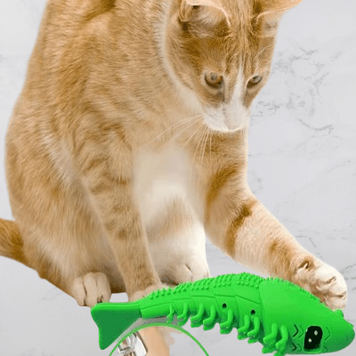 Jouet Interactif Chat - CatnipToys™ - Vert - La Citée Chat