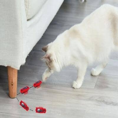 Jouet pour Chat - MiniInsecteToy™ - Scarabée Rouge - La Citée Chat