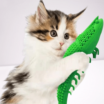 Jouet Interactif Chat - CatnipToys™ - Vert - La Citée Chat