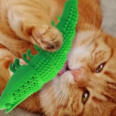 Jouet Interactif Chat - CatnipToys™ - Vert - La Citée Chat