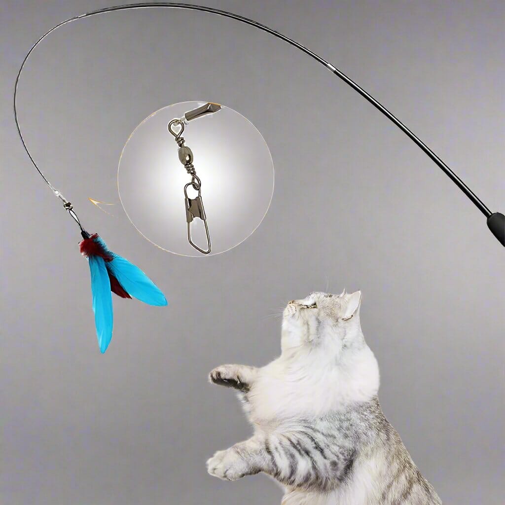 Jouet pour Chat - KittyCatch™ - Noir - La Citée Chat