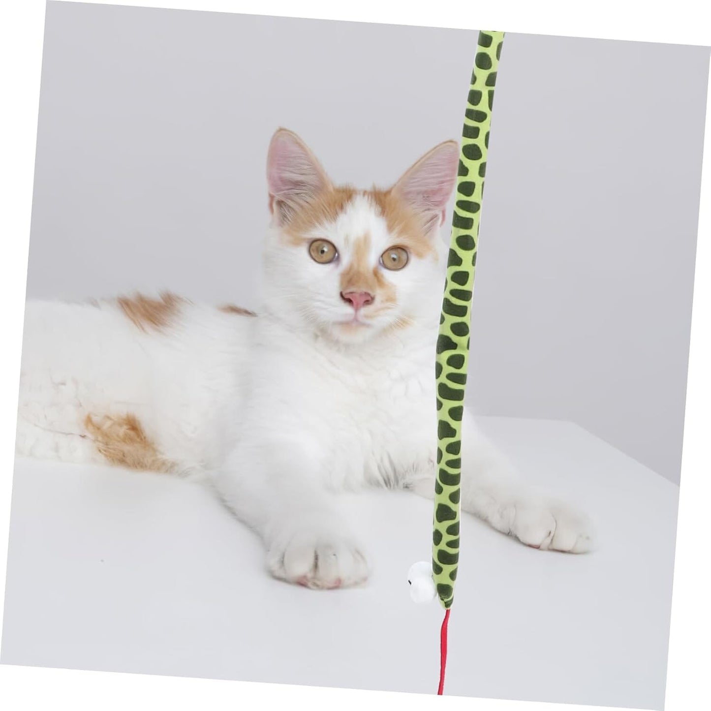 Jouet pour Chat - KittyCatch™ - Serpent - La Citée Chat