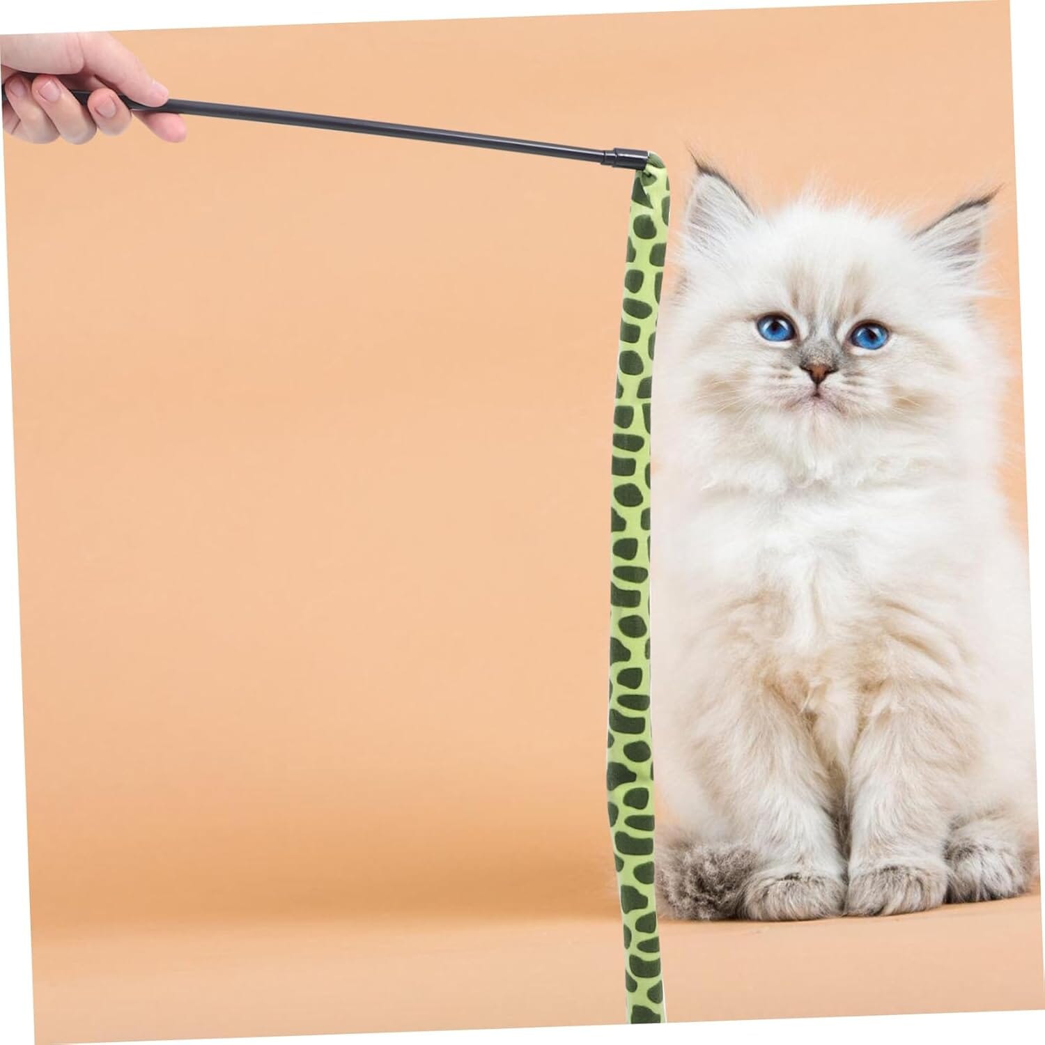 Jouet pour Chat - KittyCatch™ - Serpent - La Citée Chat