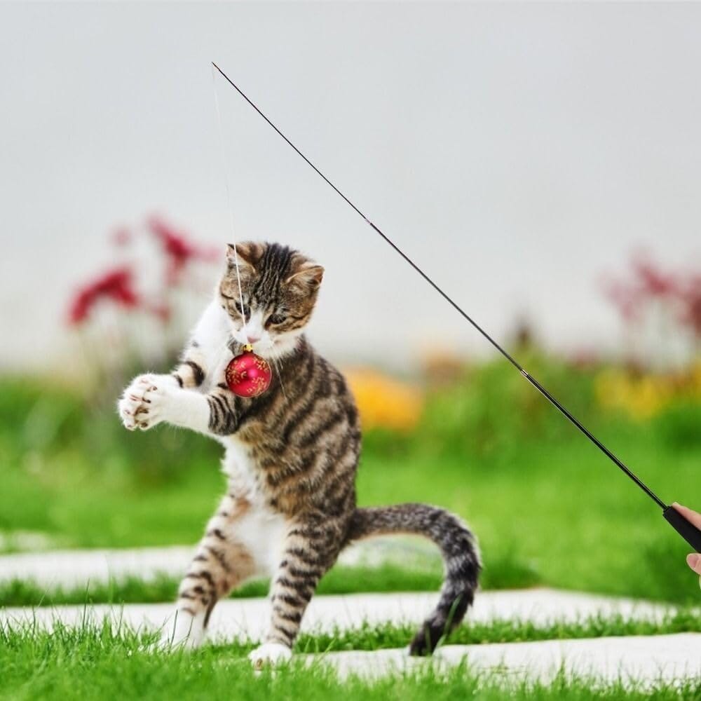 Jouet pour Chat - KittyCatch™ - Noir - La Citée Chat