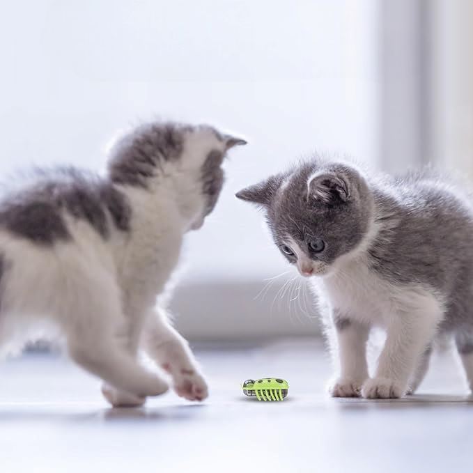 Jouet pour Chat - MiniInsecteToy™ - Coccinelles Vertes - La Citée Chat