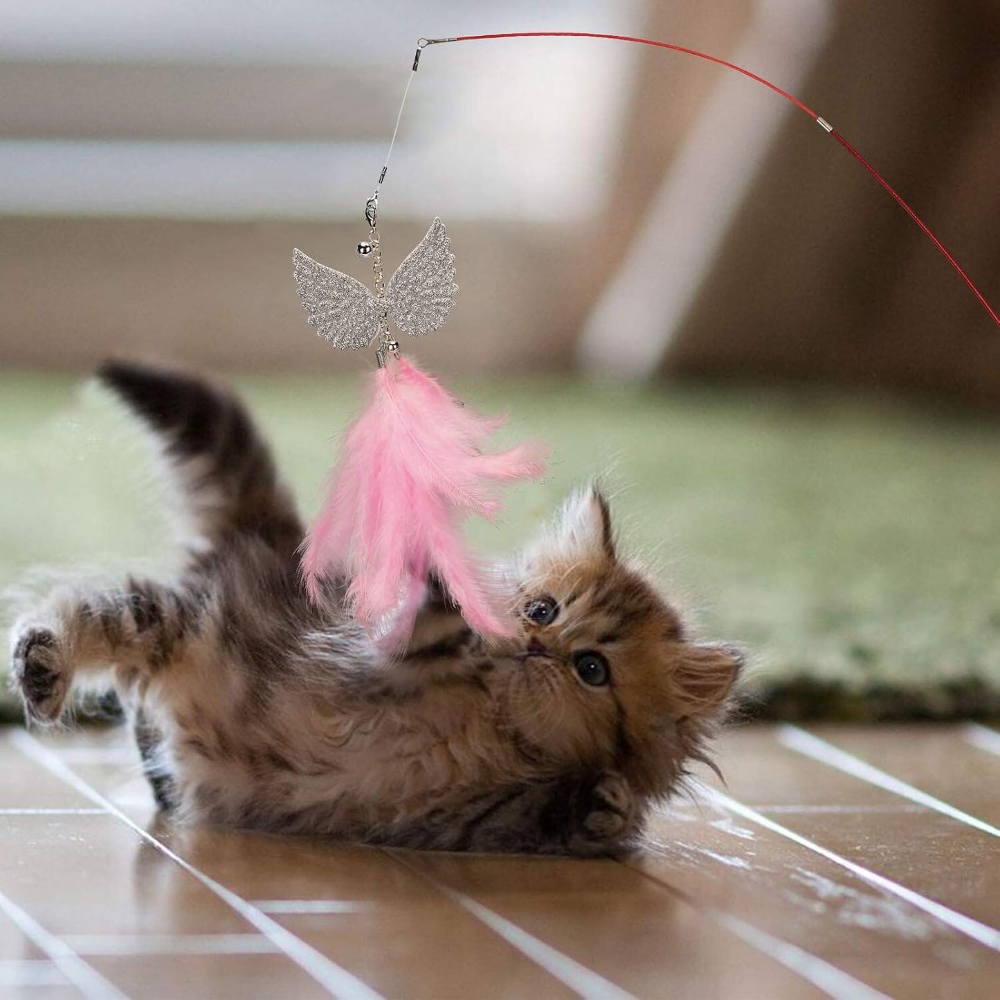 Jouet pour Chat - KittyCatch™ - Rouge - La Citée Chat