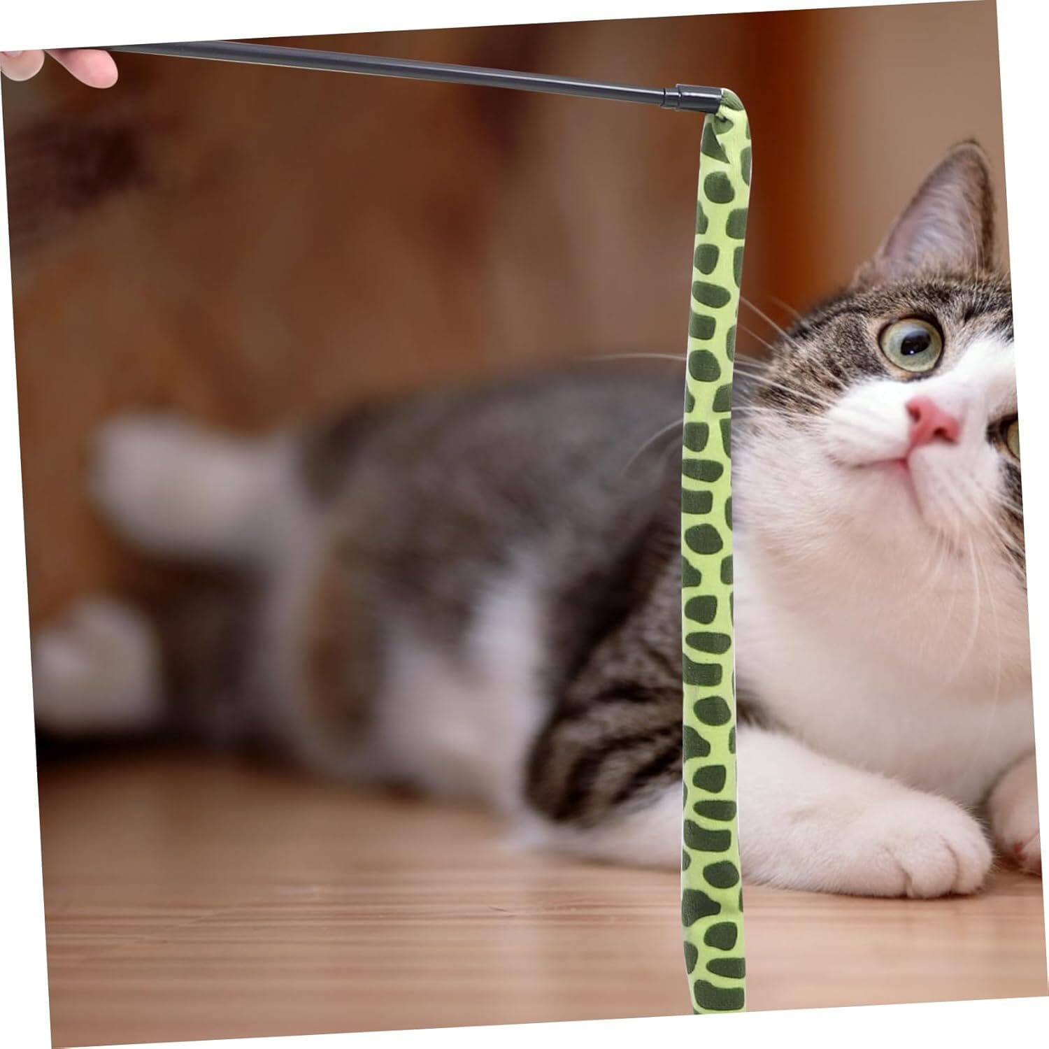 Jouet pour Chat - KittyCatch™ - Serpent - La Citée Chat