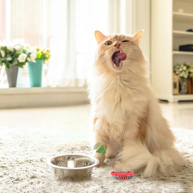 Jouet pour Chat - MiniInsecteToy™ - Scarabée Rouge - La Citée Chat