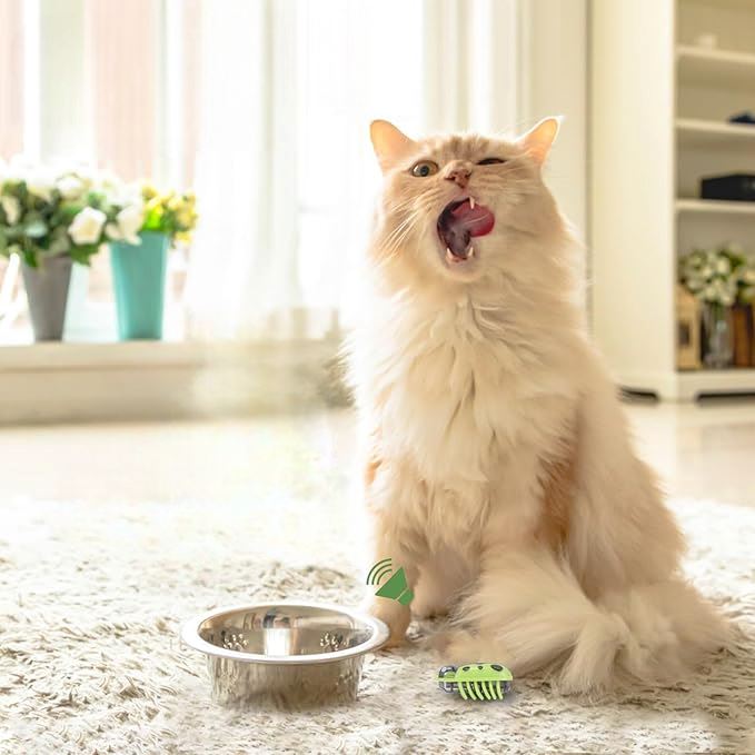 Jouet pour Chat - MiniInsecteToy™ - Coccinelles Vertes - La Citée Chat