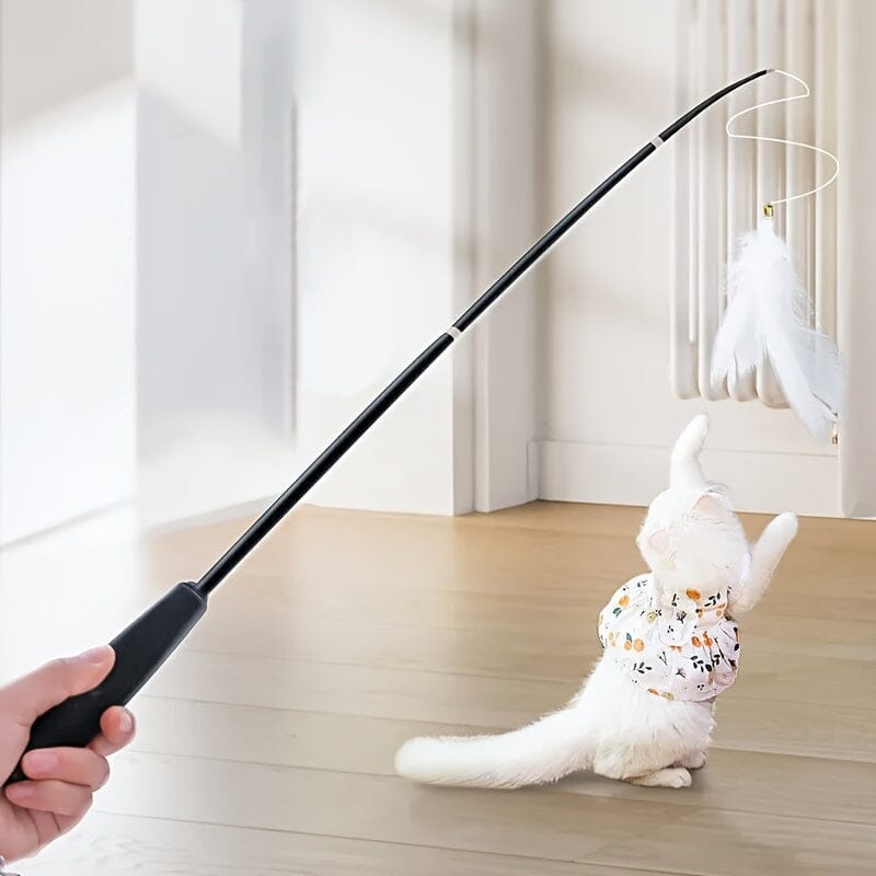 Jouet pour Chat - KittyCatch™ - Noir - La Citée Chat