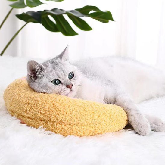 Chat se prélasse sur coussin jaune