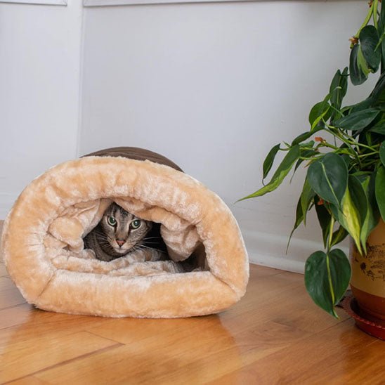 Coussin chauffant à chat - La Citée Chat