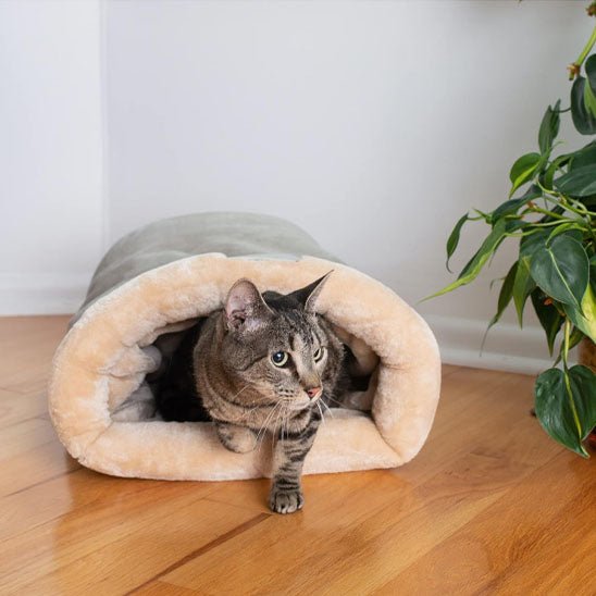 Coussin chauffant à chat - La Citée Chat