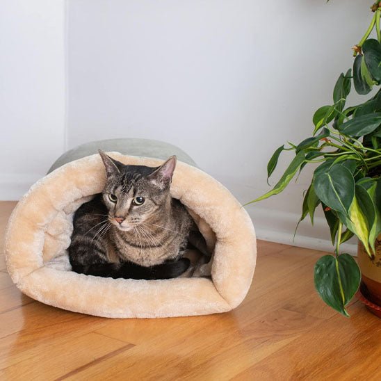 Coussin chauffant à chat - La Citée Chat