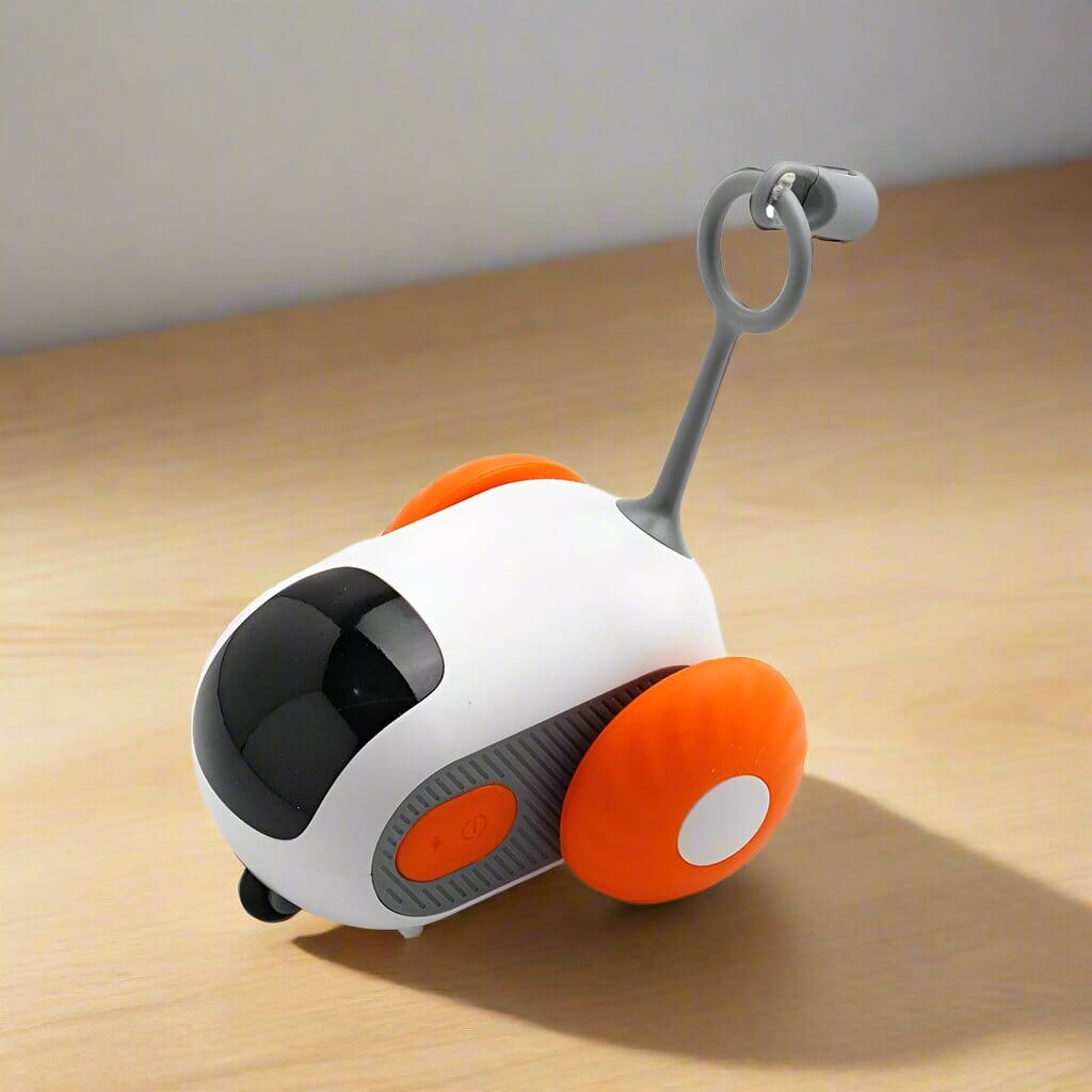 Jouet pour Chat - ToyFunCats™ - Orange - La Citée Chat