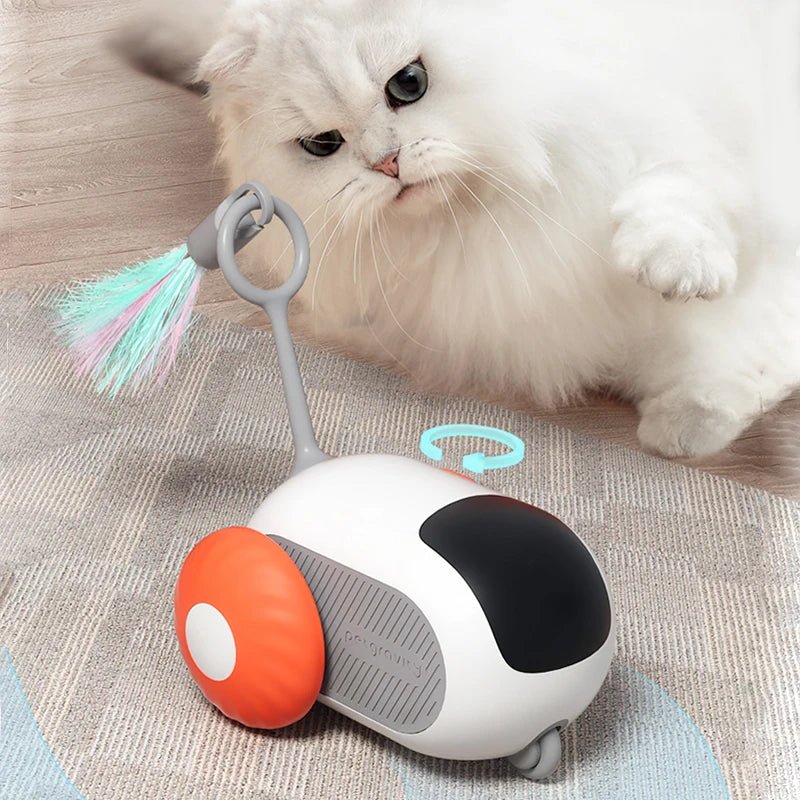 Jouet pour Chat - ToyFunCats™ - Orange - La Citée Chat