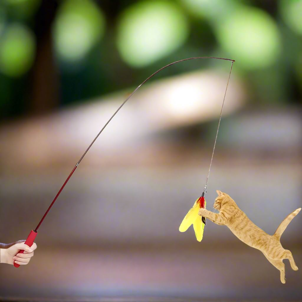 Jouet pour Chat - KittyCatch™ - Rouge - La Citée Chat