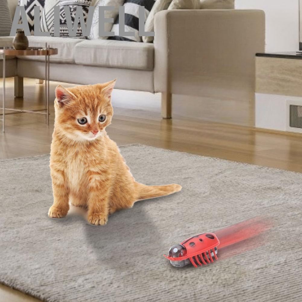 Jouet pour Chat - MiniInsecteToy™ - Coccinelles - La Citée Chat