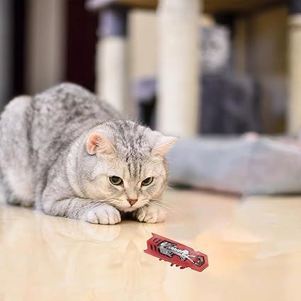 Jouet pour Chat - MiniInsecteToy™ - Scarabée Rouge - La Citée Chat