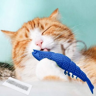 Jouet Interactif Chat - CatnipToys™ - Bleu - La Citée Chat