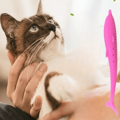 Jouet Interactif Chat - CatnipToys™ - Rose - La Citée Chat
