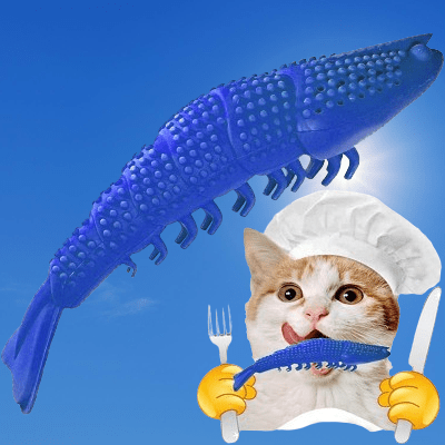Jouet Interactif Chat - CatnipToys™ - Bleu - La Citée Chat