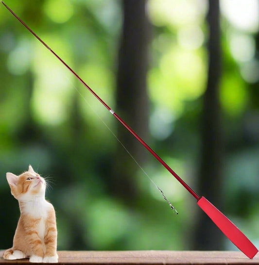 Jouet pour Chat - KittyCatch™ - Rouge - La Citée Chat