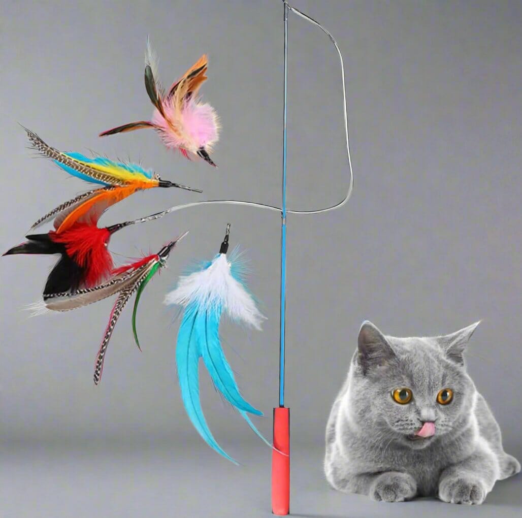 Jouet pour Chat - KittyCatch™ - BleuCiel - La Citée Chat