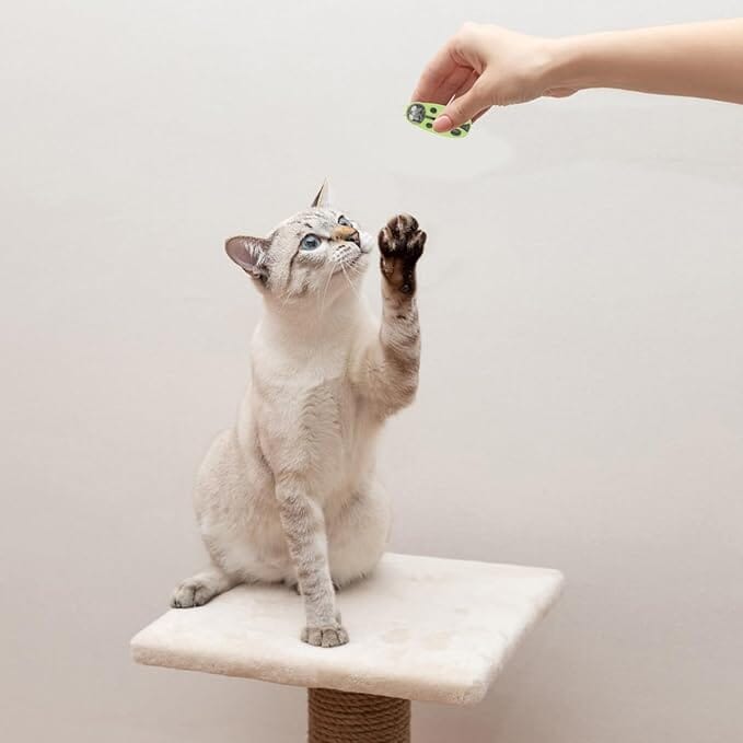 Jouet pour Chat - MiniInsecteToy™ - Coccinelles Vertes - La Citée Chat