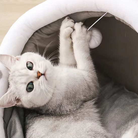 Coussin Chat - Douillet - La Citée Chat