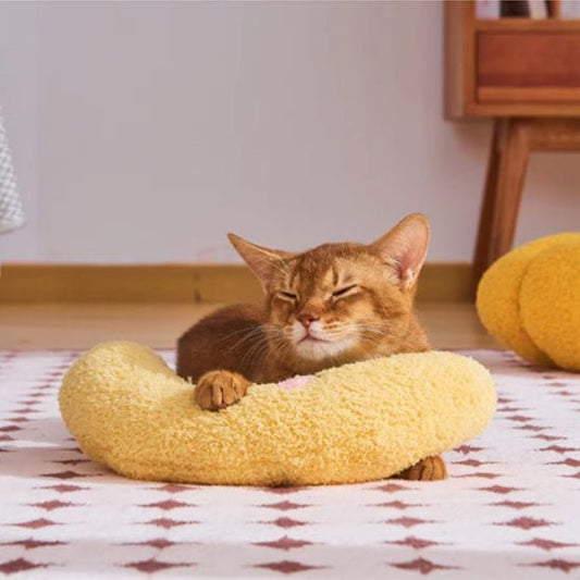 Coussin moelleux avec chat