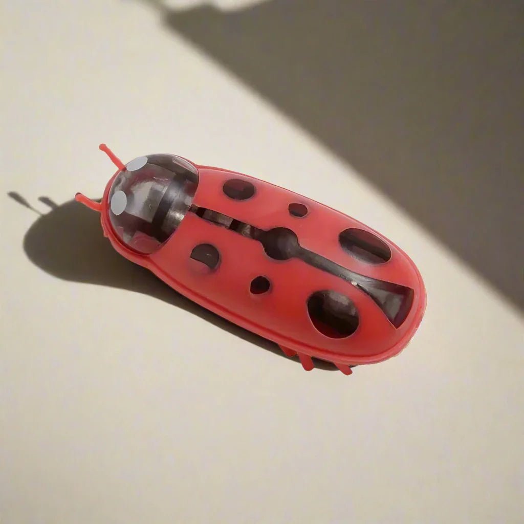 Jouet pour Chat - MiniInsecteToy™ - Coccinelles - La Citée Chat