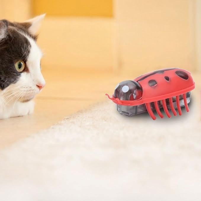 Jouet pour Chat - MiniInsecteToy™ - Coccinelles - La Citée Chat