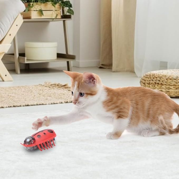Jouet pour Chat - MiniInsecteToy™ - Coccinelles - La Citée Chat